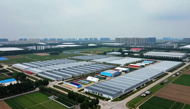 运维服务中的技术使用与维护实践